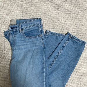 Everlane “The Mid-Rise Skinny Jean”